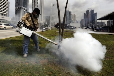 En lo que va del año se han reportado 194 casos de dengue