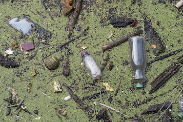 Belleza con conciencia en Panamá: del consumo invisible a una decisión informada