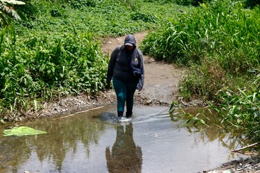 La migración por el tapón del Darién cae un 98%; advierten sobre el aumento de retornos