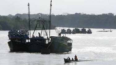 Industria pesquera nacional cae 70%