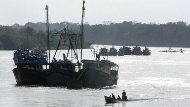 Industria pesquera nacional cae 70%