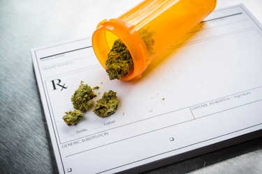 Cannabis medicinal: cinco empresas con licencia aprobada por Farmacia y Drogas