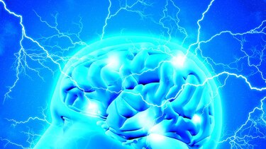 Un espacio para las neurociencias