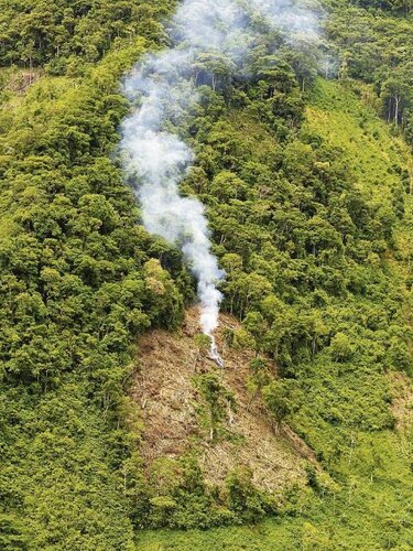 Brasil reporta aumento en deforestación de la Amazonía