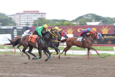 Se corre el clásico Isaac y Samuel Jiménez en la tarde hípica sabatina