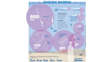 Contaminación de los mares, nuevo reto ambiental del país