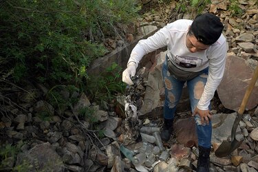 Bastaría ‘un hueso’, la búsqueda desesperada de 95,000 desaparecidos en México