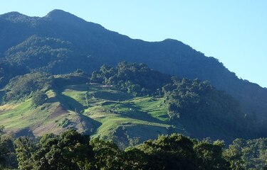 Buscan a colombiana perdida en sendero El Pianista