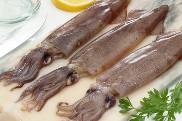Gobierno peruano rechaza vínculo entre el aumento del precio del calamar y la pesca china