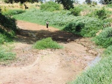 Cebolleros temen que el río Chico vuelva a secarse