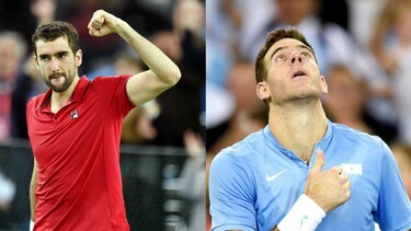 Cilic y Del Potro, en el dobles de la final de Copa Davis