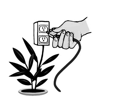 Ambiente y energía alternativa