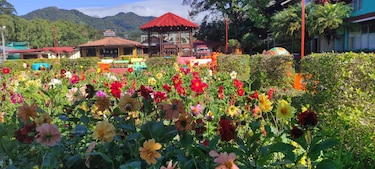 Afinan detalles para la Feria de las Flores y del Café en Boquete del 11 al 21 de enero del 2024