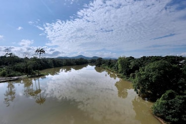 Creación de áreas protegidas no ha reducido la pérdida de biodiversidad