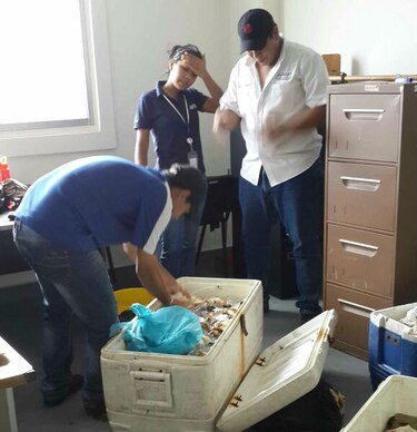 Autoridad de los Recursos Acuáticos decomisa cargamento de especies marinas
