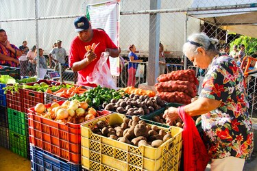 IMA inaugura en octubre una Tienda del Pueblo en Frigo de San Antonio, vía Tocumen