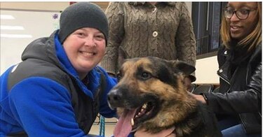 Luego de  tres años desaparecido, perro se reúne con su dueña