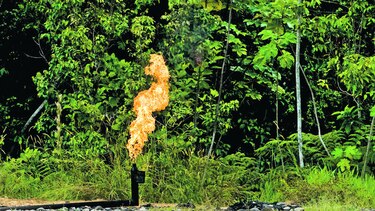 Leonardo DiCaprio asegura que el plebiscito que celebrará Ecuador sobre el petróleo es ‘histórico’
