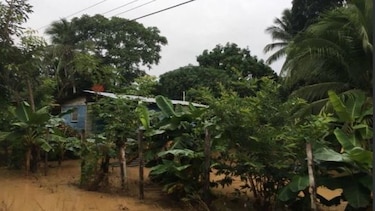 Al menos 300 viviendas afectadas por inundación en Tonosí