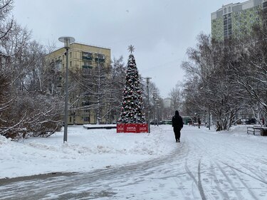 La primera gran nevada del invierno cubre la ciudad de Moscú