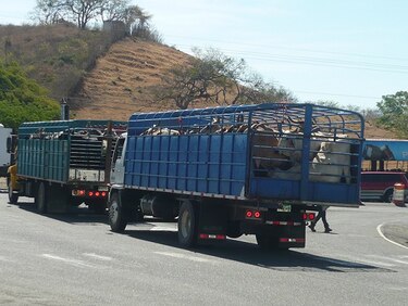 Productores piden al Gobierno cancelar subsidios atrasados