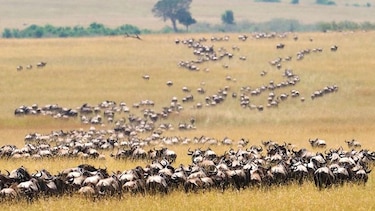 África busca atraer a cada vez más visitantes