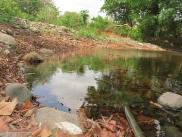 Anam restringe uso de agua en el río Chame