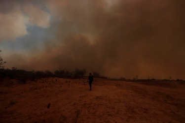 Chile: aumenta la cifra de muertos en los devastadores incendios de Valparaíso 