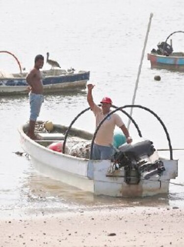 Pescadores artesanales no tramitan licencias