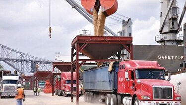 Inventario de arroz revela abastecimiento hasta agosto