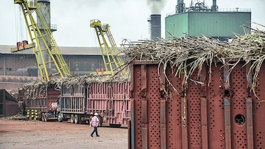 Producción industrial de Brasil se contrae