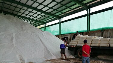 Salineros piden acercamiento con el Instituto de Seguro Agropecuario