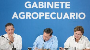 IMA comprará 350 mil jamones de producción local en 2020