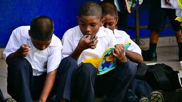Se preparan para vender alimentos saludables