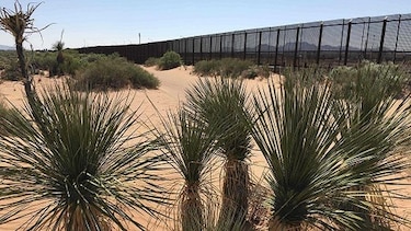 Guardia Nacional despliega sus efectivos en la frontera con México