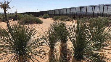 Guardia Nacional despliega sus efectivos en la frontera con México