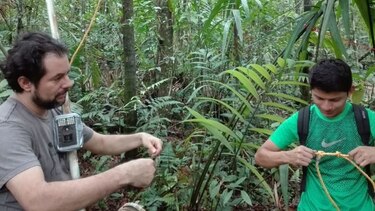 Monitoreo de monos y murciélagos en la provincia de Los Santos