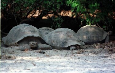 Convenio para pasantías de españoles en Galápagos