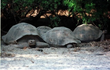 Convenio para pasantías de españoles en Galápagos