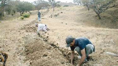 En agosto entra en operación acueducto
