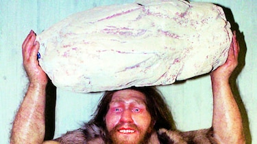 Neandertales dividían tareas por sexo