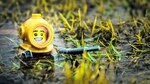 Un ‘photowalk’ en miniatura