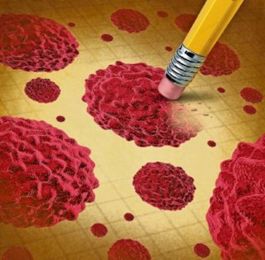 La ciencia busca frenar el cáncer
