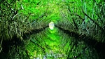 Humedales: ecosistemas valiosos para la vida humana
