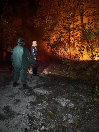 Incendio consume la reserva forestal La Yeguada: fiscalía abre investigación