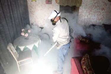 Rastro económico del dengue