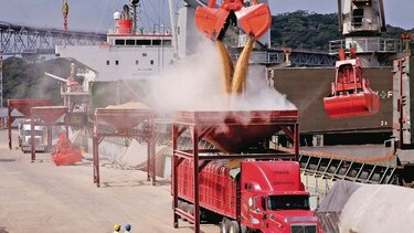 Gabinete aprueba importación de arroz