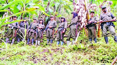 FARC espera que EU las saque de lista
