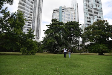 San Francisco contará con acceso peatonal ecológico al Coco Parque