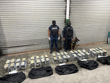 Decomisan 200 paquetes con droga en un puerto del Atlántico
